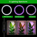 USB LED Plant Grow Light — Telescopic Stake Lamp with Timer for Indoor Seedlings & Potted Plants
