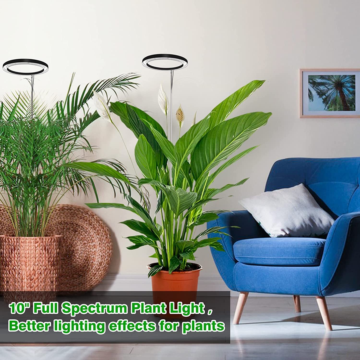 USB LED Plant Grow Light — Telescopic Stake Lamp with Timer for Indoor Seedlings & Potted Plants