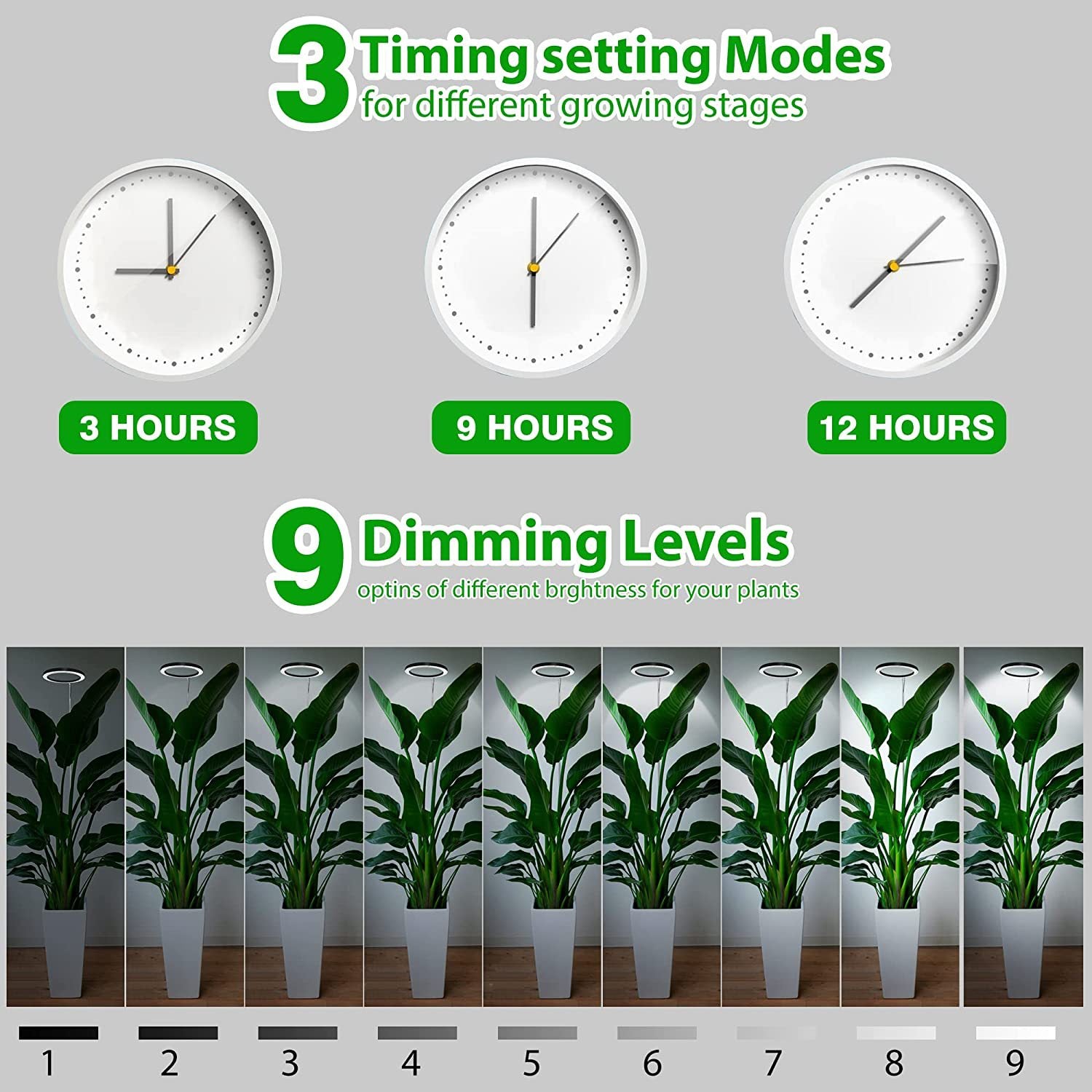 USB LED Plant Grow Light — Telescopic Stake Lamp with Timer for Indoor Seedlings & Potted Plants
