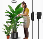 https://static.hzpdex.com/ad016038-6401-43e5-aaaf-f730f5b0829f.png